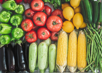 summer vegetables in the refrigerator. Delicious vegetables for summer vegetables corn, tomato, cucumber, eggplant, zucchini, pepper, paprika, green pepper, purple cabbage. organic vegetables. vegetab