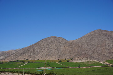 Paisaje en valle de elqui