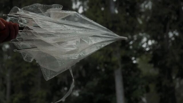 umbrella  close after rain. Umbrella man closes his hands after the rain