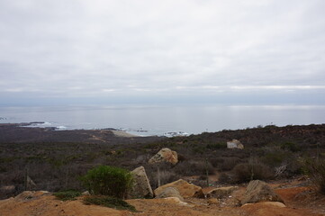 Linda vista paisaje en carretera 