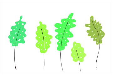 Obraz premium Decorative leaves for various design. Computer graphics