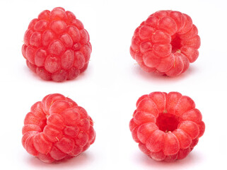 Raspberry on White Background