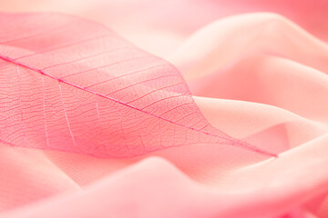 transparent pink leaf and airy fabric texture, soft pastel colors