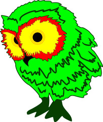 Color owl