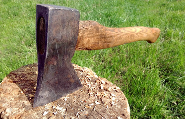 ax in pad on nature close-up photo