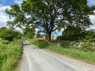 Country lane, with long grass, trees and buildings near, Linton, Skipton, UK