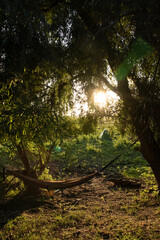 Camping in Danube Delta