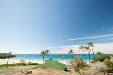 Fototapeta na wymiar Tropical beach with waving palm trees and turquoise sea