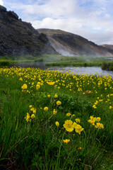 The warm pools of the Landmannalaugar geothermal area, central highlands of Iceland.