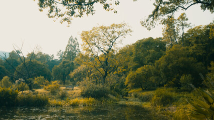 Landscape of woods in warm sunlight near Hangzhou Botanical Garden in Hangzhou, China