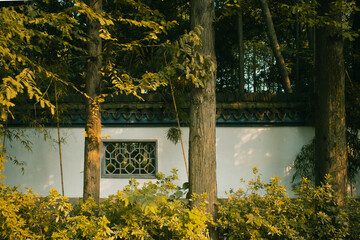 Traditional wall behind trees in Hangzhou botanical Garden in Hangzhou, China