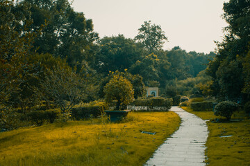Footpath between trees and garden plants in Hangzhou Botanical Garden in Hangzhou, China