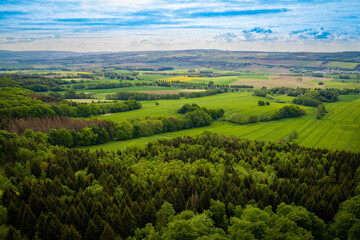 landscape with green hills and trees