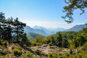 A landscape view of pine trees in the mountains seen from the Lycian way trail near Mount Olympos or Tahtali near Antalya, Turkey