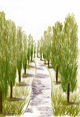 Sketch of trees and park trail with colored pencils.