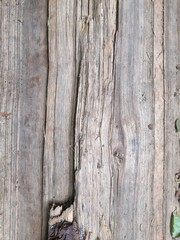 Hintergrund Holz