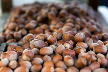 close up of a heap of hazelnuts. Full frame view of raw organic hazelnuts background. horizontal format.
