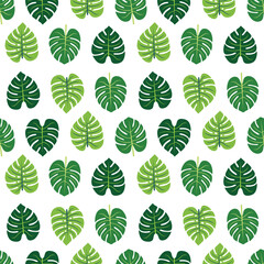 Monstera leaf green seamless repeat pattern. Great for tropical nature wallpaper, background, packaging, fabric, and giftwrap projects. Surface pattern design.