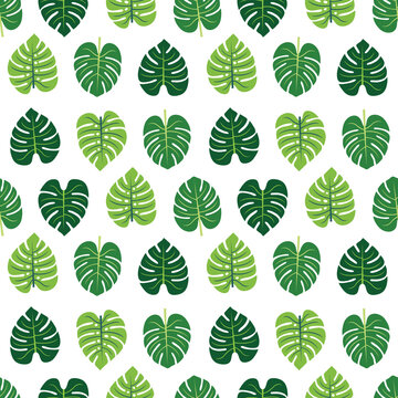 Monstera leaf green seamless repeat pattern. Great for tropical nature wallpaper, background, packaging, fabric, and giftwrap projects. Surface pattern design.
