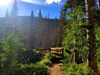 bench in the forest