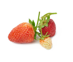 ripe red strawberries and green unripe isolated on a white background