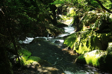 Obraz premium 山形 初夏の鳥海山 二ノ滝トレッキング 間ノ滝