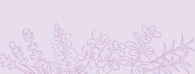 バナー, 背景などに使えるアロマオイル用ハーブのスケッチイラスト。ベクター画像