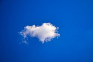 Fototapeta na wymiar white cumulus cloud flake floating under a blue sky.
