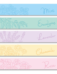 バナー, 背景などに使えるアロマオイル・ハーブのスケッチイラスト。ベクター画像