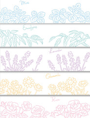 バナー, 背景などに使えるアロマオイル・ハーブのスケッチイラスト。ベクター画像 © 夏妃 吉野