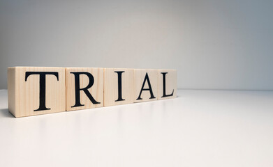 Trial word from wooden cubes. About law terms.