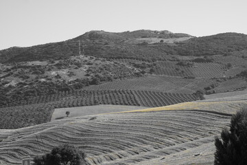 villanueva  de cauche
