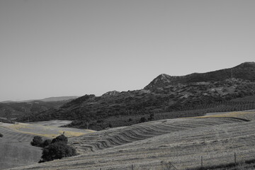 villanueva  de cauche
