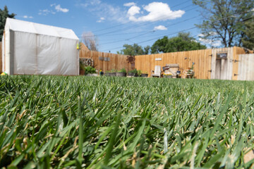 Grass parallel view