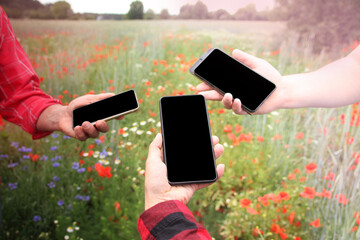 three people in a field with blooming red poppies surf in mobile phones, show photos, the concept...