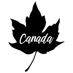 An abstract black and white vector illustration of maple leaf for Canada Day on an isolated background