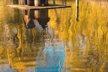 autumn abstract pond water surface with reflection from September yellow trees foliage and wooden cabin house for birds park