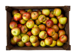 Apples in a box