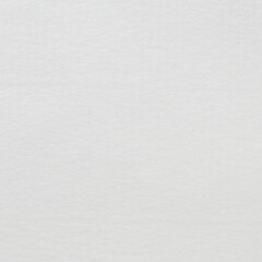 Watercolor paper texture. Paper texture for use as a background