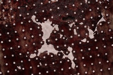 red rusty metal mesh lattice surface background