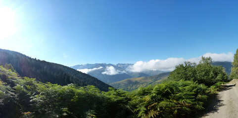 Fototapete bei efototapeten.de bestellen   