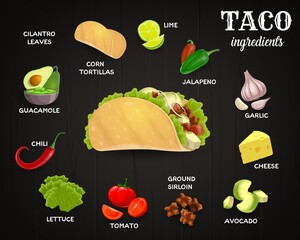 Tacos ingredients, mexican fast food cafe menu. Corn tortilla and lime, jalapeno and chili pepper, garlic and cheese, avocado and tomato, ground beef, lettuce and guacamole sauce. Cartoon vector