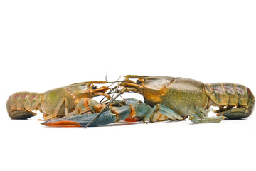 Two different size of 