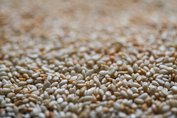 Browned sesame seeds closeup