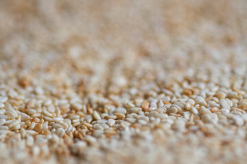 Browned sesame seeds closeup