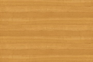 Fototapeta premium ash-tree wooden background texture structure backdrop