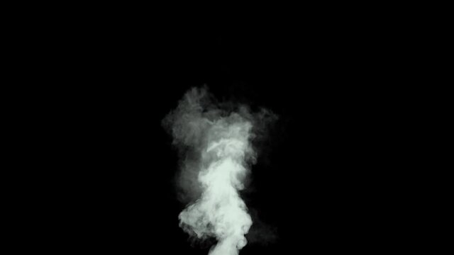 Short Smoke Billow - Fast moving smoke billow with high density and turbulence.