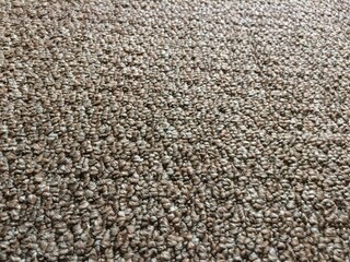 Multi color carpet in sunlight