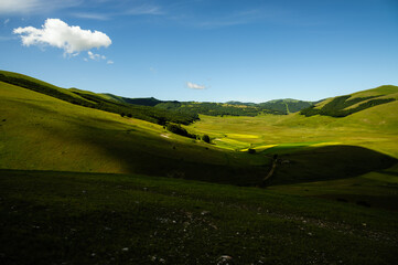 The beginning of flowering around Castelluccio di Norcia (June 2020): fields in lavish color, with red poppies, yellow rapeseed and other flowers.