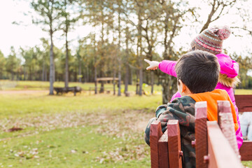 Two kids in the park pointing at something from afar. They're standing on a rustic wooden gate. Concept of a walk, a vacation.